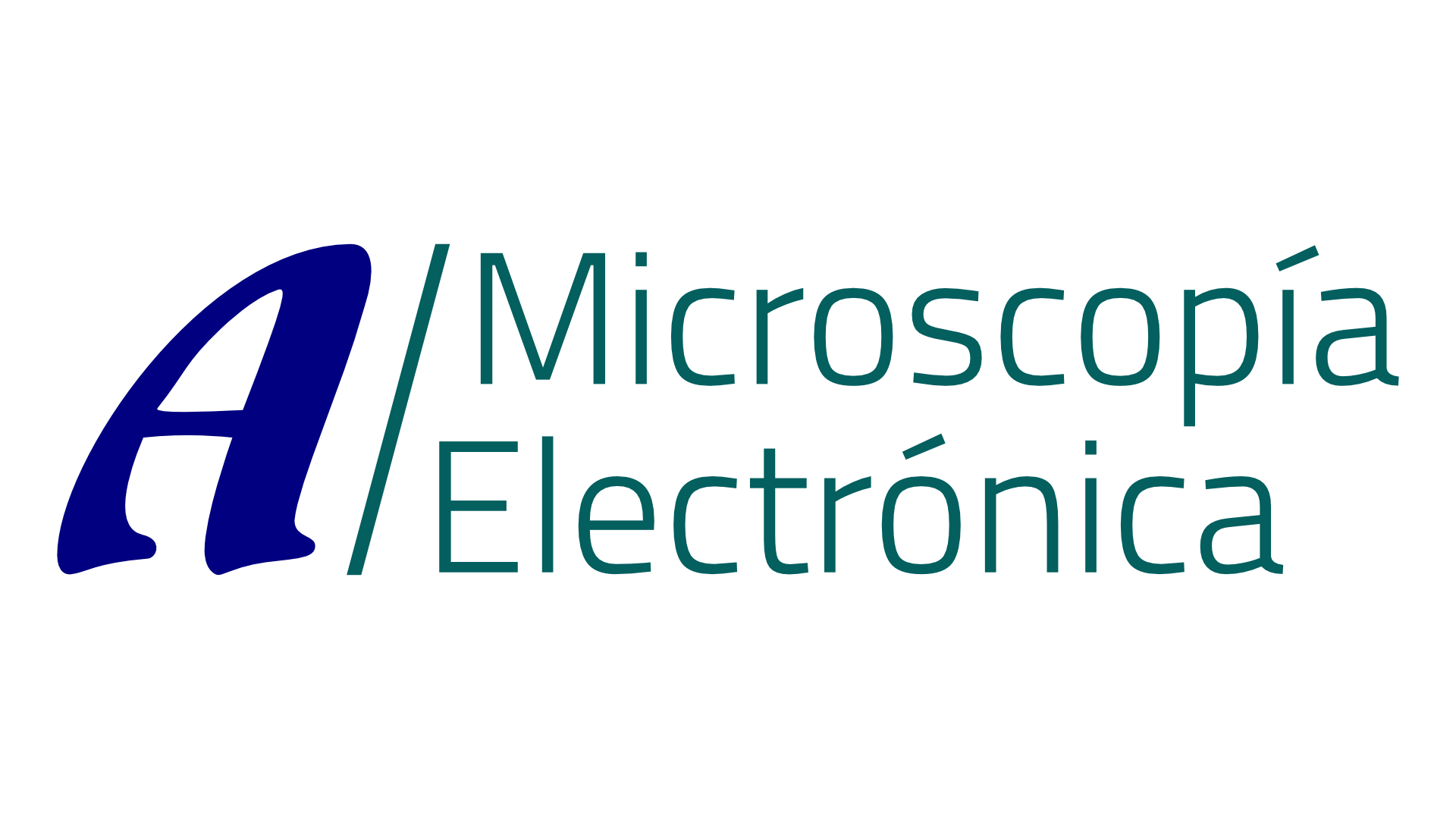 Haz click para ver nuestros equipos para Microscopía electrónica Logo de Aname - Microscopía electrónica
